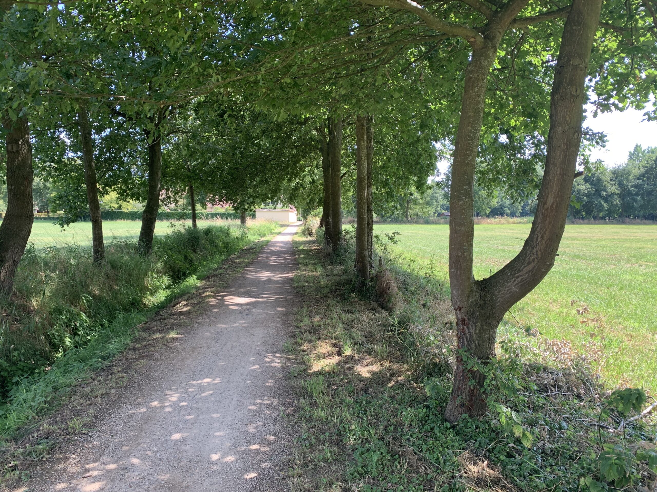 begeveld foto van begeveld, bilzen