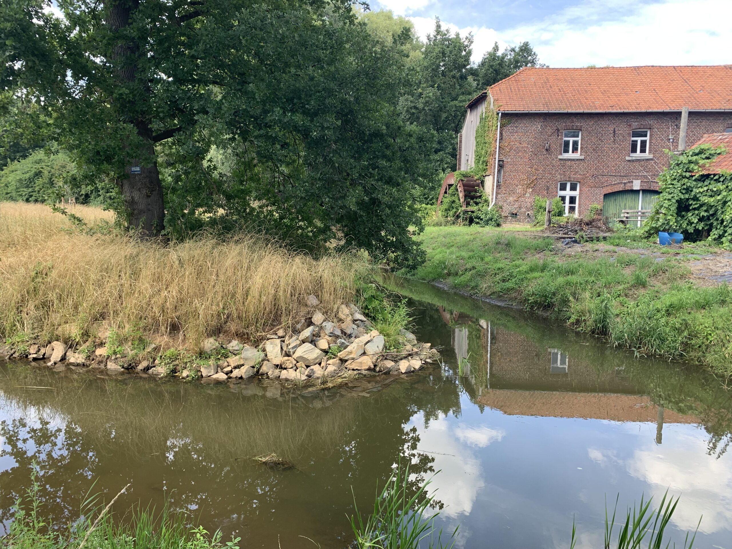 renfortmolen Foto van renfortmolen in Bilzen